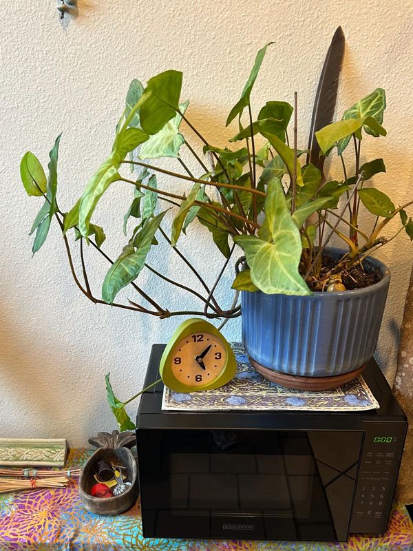 Customer photo: Compact Mid-Century Modern Desk Clock: Silent Sweep 4.25" Ta